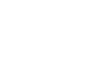 Das LinkedIn Logo in weiß